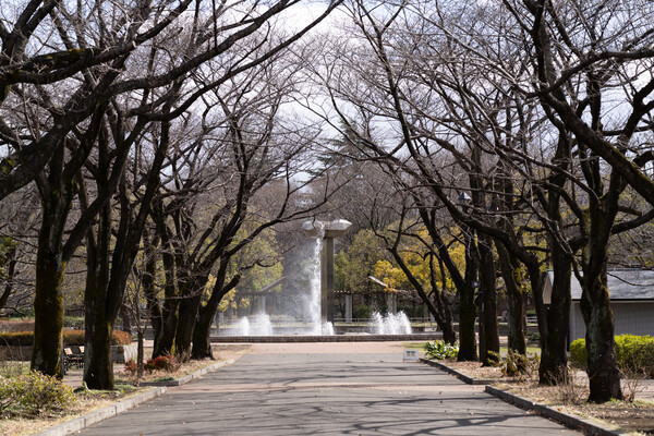 春の嵐